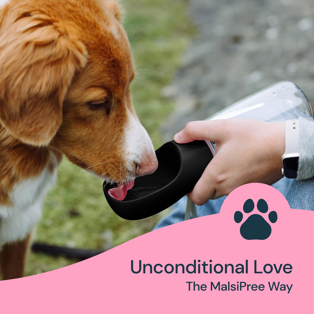 MalsiPree Dog Water Bottle Dispenser - 12 oz Navy Blue, Leak-Proof