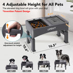 UPSKY 2-in-1 Elevated Dog Bowls Set with 4 Height Adjustable Stand, Balck