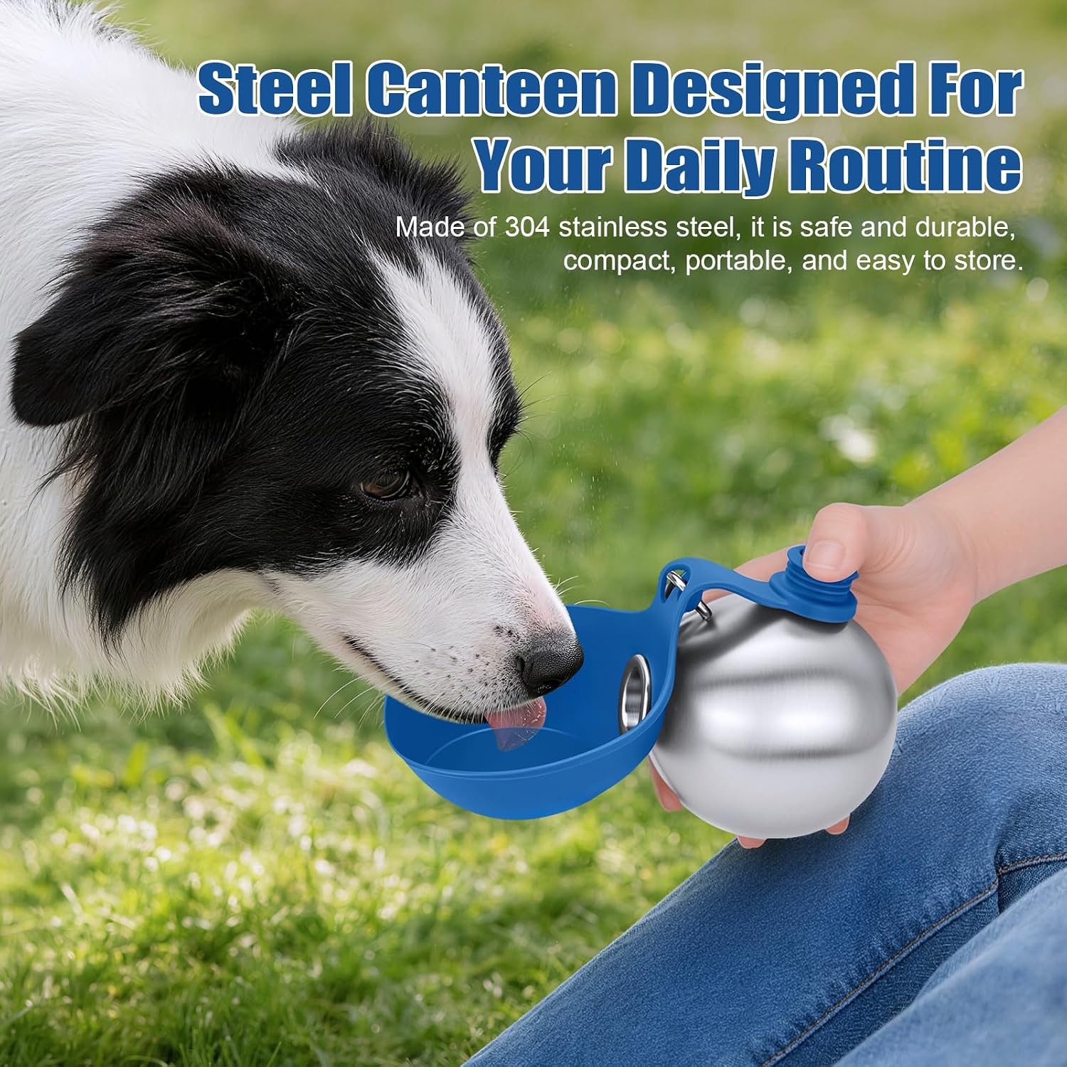 Portable Dog Water Bottle 10oz Stainless Steel Travel Dog Water Dispenser with Bowl No-Spill Puppy Water Bottle for Walking Hiking Small Dog Water Bottle (Sapphire Blue)