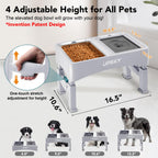 UPSKY 2-in-1 Elevated Dog Bowls Set with 4 Height Adjustable Stand, Balck