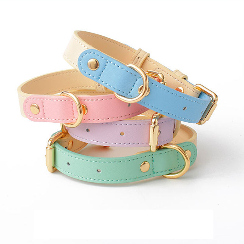 Colliers pour animaux en cuir, modèles pastel rose, bleu et vert d’eau, boucles dorées.