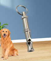 Sifflet ultrasonique pour chien en métal argenté, anneau porte-clés et embout conique.