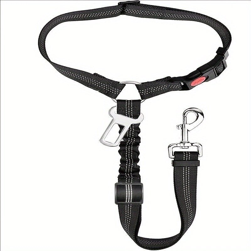 Ceinture de sécurité pour chien, double sangle noire avec agrafes et mousqueton.