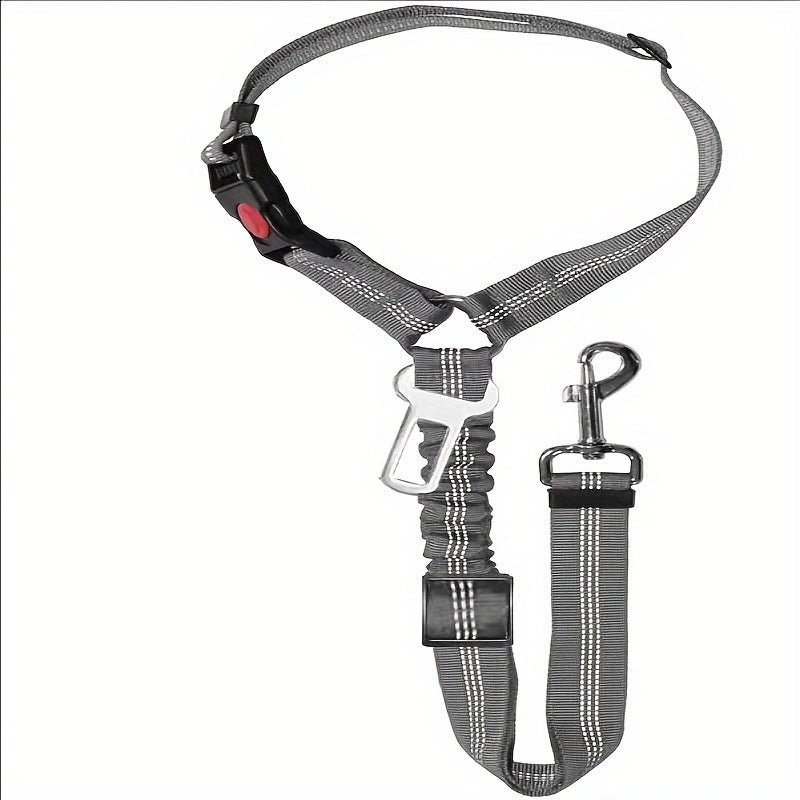 Ceinture de sécurité pour chien grise anthracite, sangle double et mousqueton.