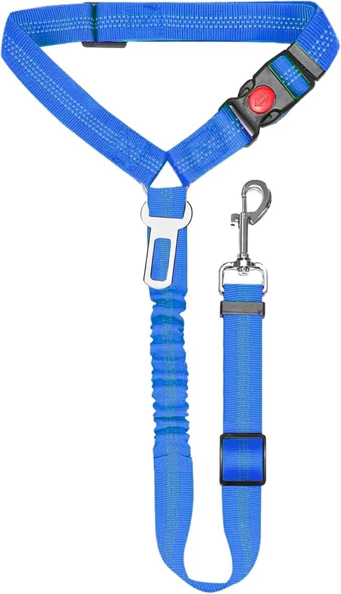 Ceinture de sécurité pour chien bleue, sangle télescopique avec mousqueton et agrafes.