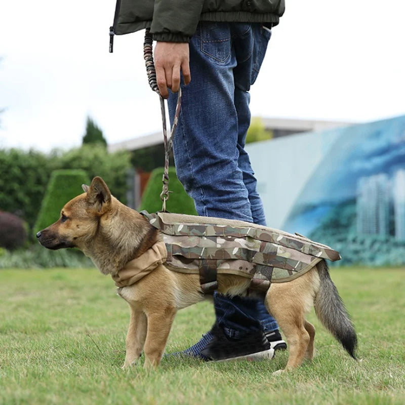Laisse tactique en corde tressée avec mousqueton métallique et motif camouflage