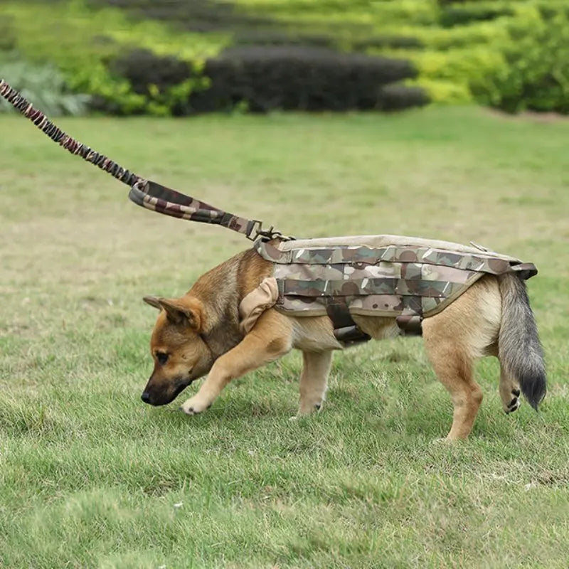 Laisse tressée tactique en motif camouflage avec attache métallique pour chien