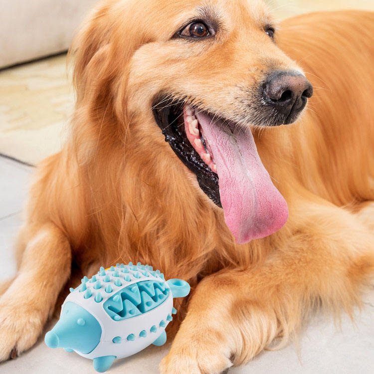 Balle distributrice de croquettes bleue en silicone, le chien la tient dans sa gueule