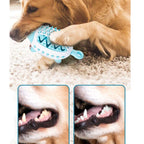 Balle distributrice de croquettes bleue en forme baleine, chien la mâche