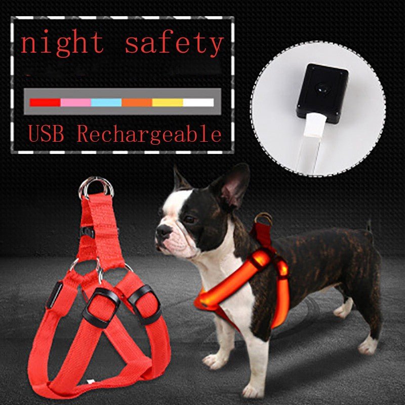Harnais LED pour chien rouge avec boîtier rechargeable USB et sangles noires