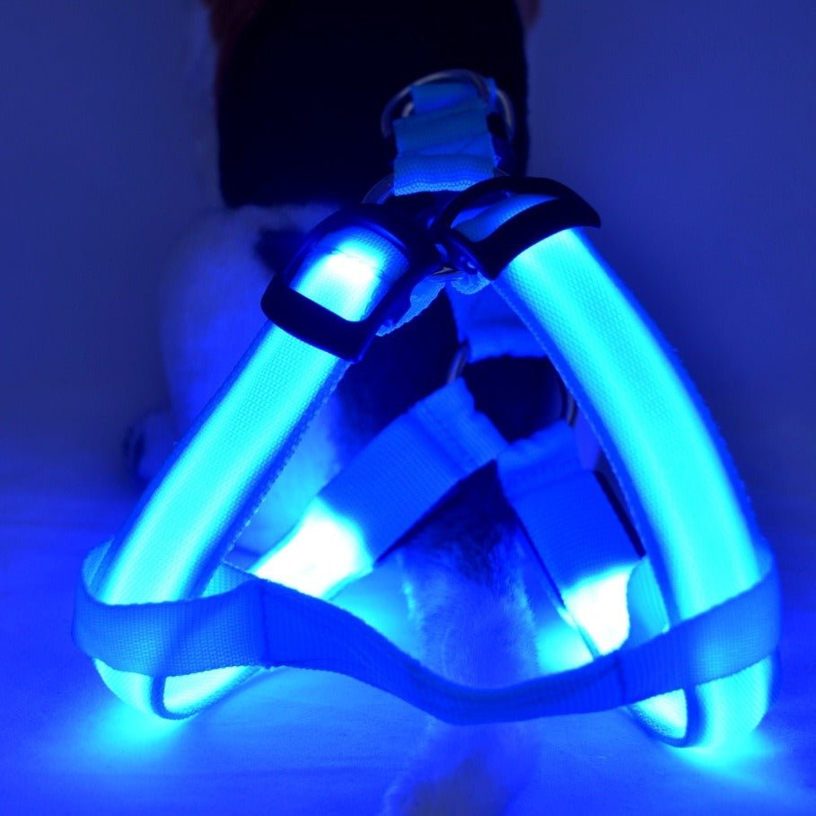 Harnais LED pour chien bleu, sangles avec éclairage LED bleu lumineux