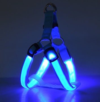 Harnais LED pour chien bleu avec bandes lumineuses LED intégrées