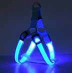 Harnais LED pour chien bleu avec bandes lumineuses LED intégrées