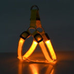 Harnais LED pour chien orange avec lumières LED orange allumées