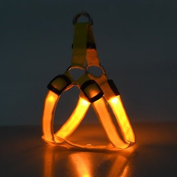 Harnais LED pour chien orange avec lumières LED orange allumées