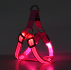 Harnais LED pour chien rose foncé avec lumières LED roses allumées