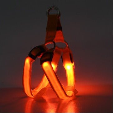 Harnais LED pour chien orange avec lumières LED orange allumées