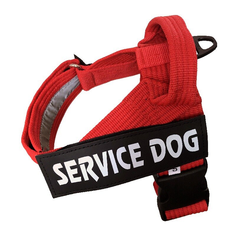Harnais-gilet ajustable rouge pour chien, marquage « SERVICE DOG » et sangle à boucle