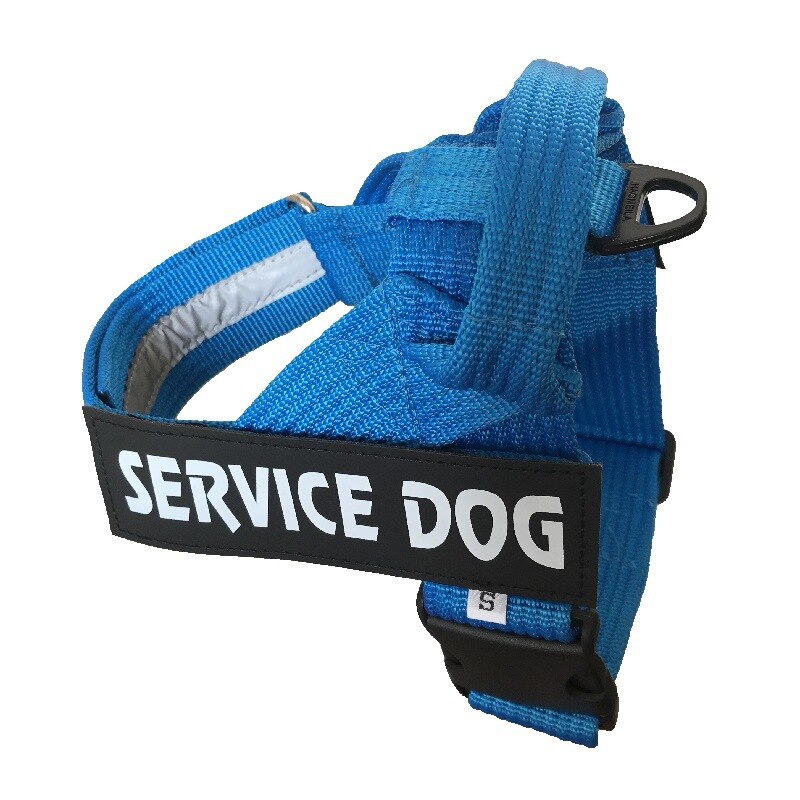Harnais-gilet ajustable bleu pour chien, marquage « SERVICE DOG » et fermeture à boucle
