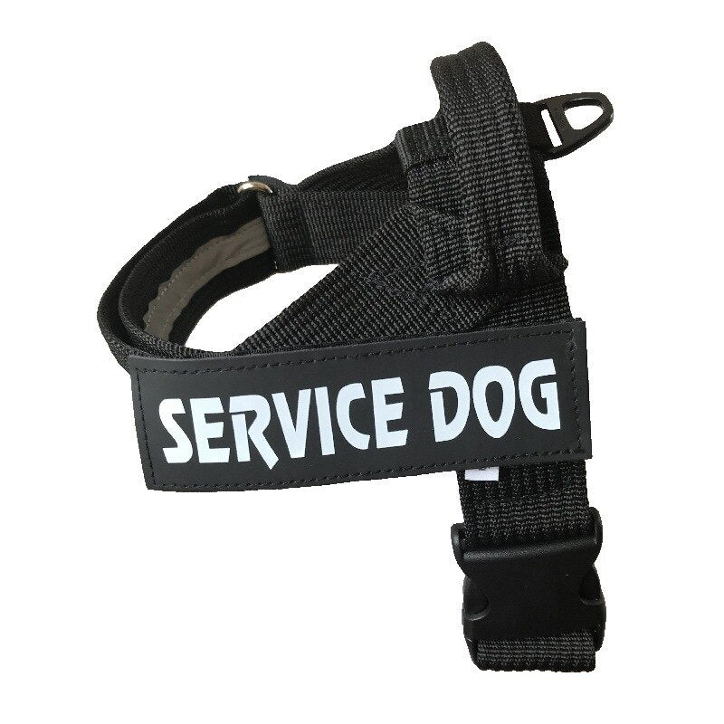 Harnais-gilet ajustable pour chien noir, marquage « SERVICE DOG » et attache de fixation
