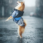 Manteau coupe-vent pour chien bleu et blanc à capuche, empiècement noir
