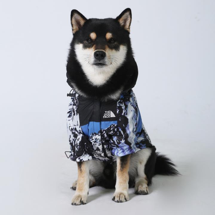 Manteau coupe-vent pour chien à capuche, motif bleu, blanc et noir sur le corps