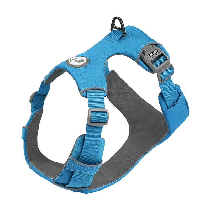 Harnais pour chien bleu avec sangles et garniture sombre, attache dorsale et boucle de traction