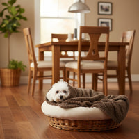 Couverture pour chien en peluche marron, drapée avec capuche