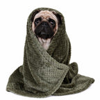 Couverture pour chien vert kaki en peluche, enveloppante avec capuche