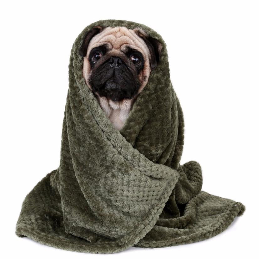 Couverture pour chien vert kaki en peluche, enveloppante avec capuche