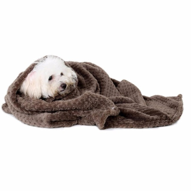 Couverture pour chien marron en peluche, chien lové sous l’enveloppement