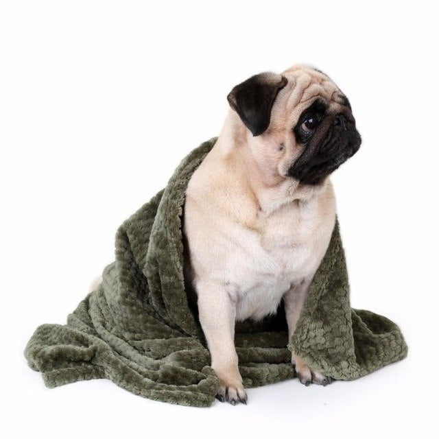 Couverture pour chien vert kaki en peluche, chien assis enveloppé