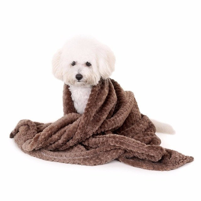 Couverture pour chien marron en peluche, chien blanc enveloppé