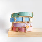 Ensemble de colliers en cuir pastel, avec fermoirs et anneaux dorés.