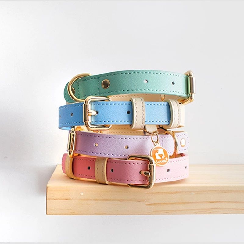 Ensemble de colliers en cuir pastel, avec fermoirs et anneaux dorés.