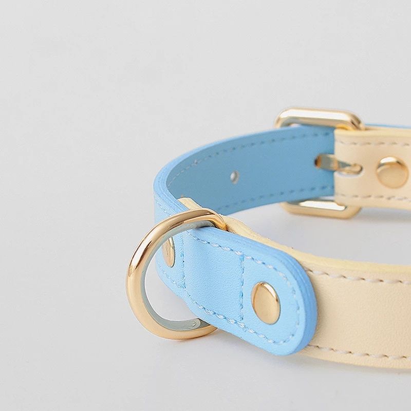 Détail collier en cuir bleu clair avec couture, anneau et boucle dorés.
