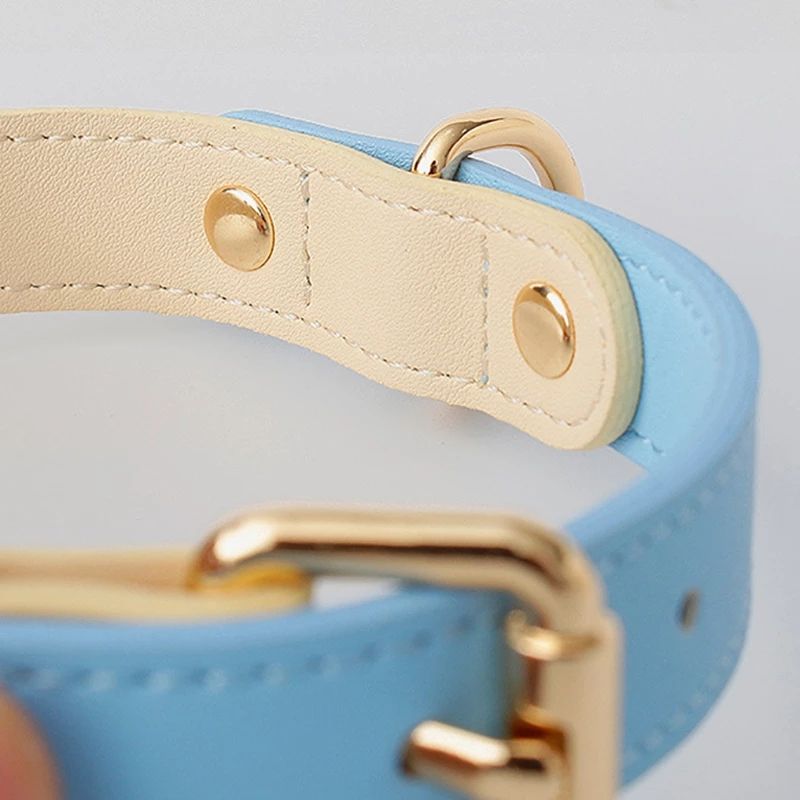 Détail collier en cuir bleu clair et beige, rivets ronds et boucle métallique dorée.