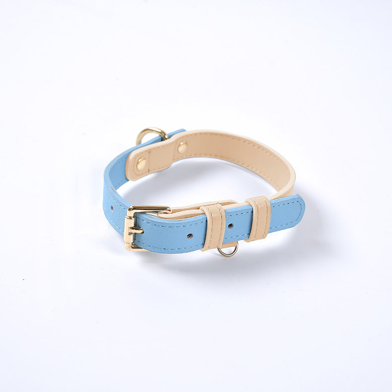 Collier en cuir bleu clair avec bord beige, boucle dorée et anneau d’attache.