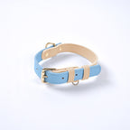 Collier en cuir bleu clair avec bord beige, boucle dorée et anneau d’attache.