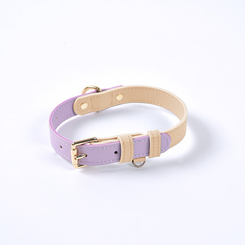 Collier en cuir violet avec bord beige, boucle dorée et anneau d’attache.