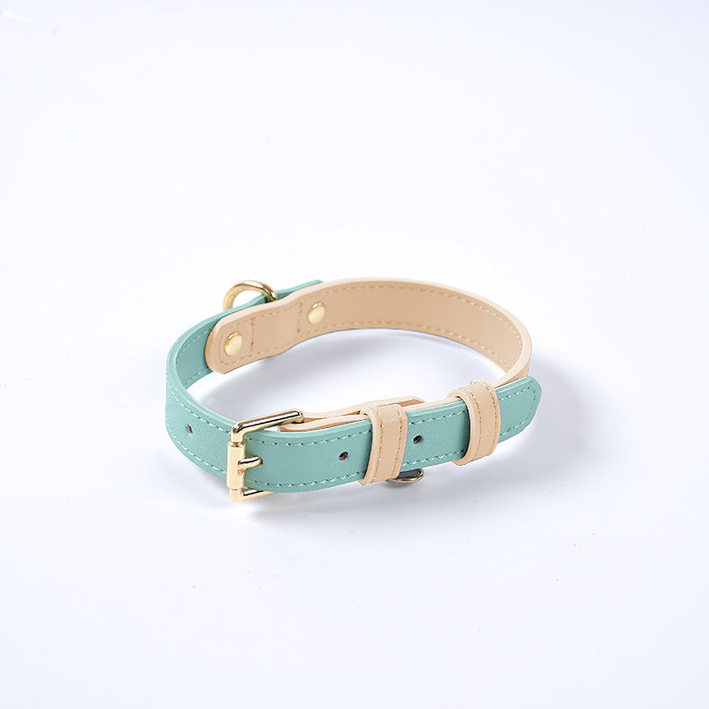 Collier en cuir vert d’eau avec bord beige, boucle dorée et anneau d’attache.