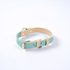 Collier en cuir vert d’eau avec bord beige, boucle dorée et anneau d’attache.
