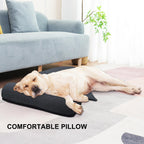 Oreiller pour chien gris foncé, coussin rectangulaire, chien couché au repos
