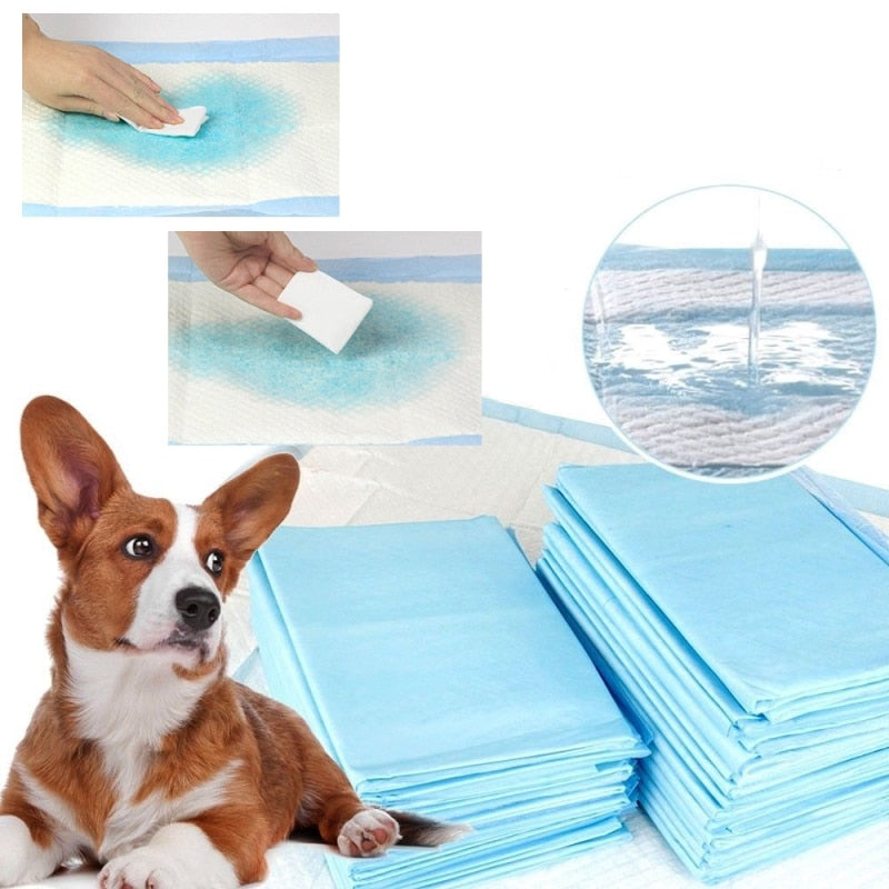 Tapis absorbants pour chien bleu clair, rectangulaires, empilés, avec démonstration