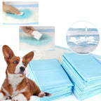 Tapis absorbants pour chien bleu clair, rectangulaires, empilés, avec démonstration