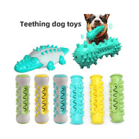 Jouet dentaire pour chien en forme de tortue turquoise avec picots et rainures