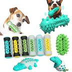 Jouet dentaire en forme de crocodile turquoise avec picots et rainures, pour chien
