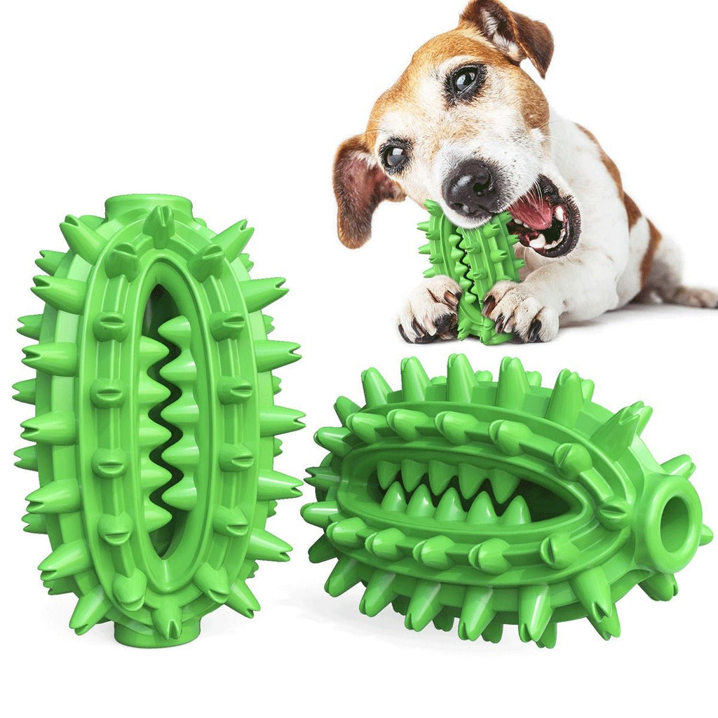Jouet dentaire vert à mâcher pour chien : disque et anneau à picots