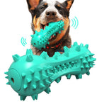 Jouet dentaire pour chien, crocodile turquoise à picots et rainures, gros plan