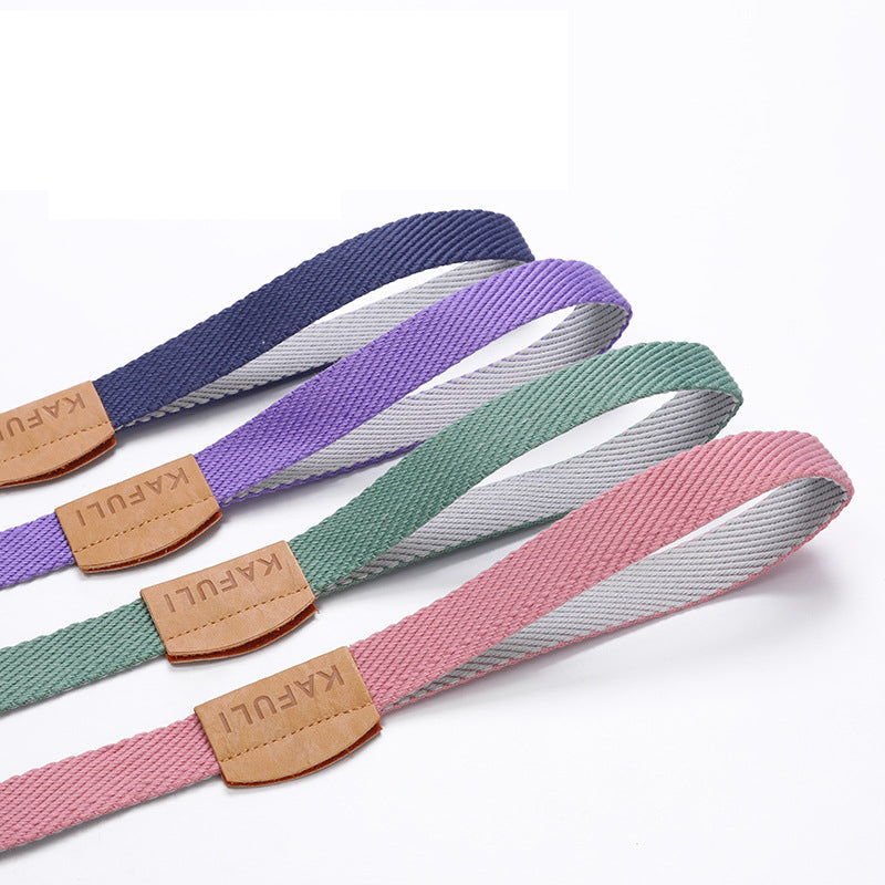 Harnais gilet multicolore à rayures : sangles bleu, mauve, vert et rose, passements
